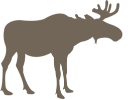 eland vector