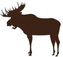 eland vector