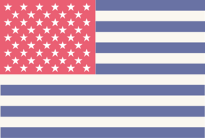 Amerikaanse vlag vector