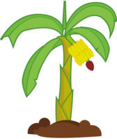 palmboom vector