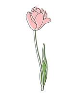 schets tulp bloem met pastel kleur vlekken toegevoegd, lijn kunst. bloemen poster, ansichtkaart, vector