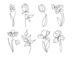 lijn tekening van bloemen, set. tulp, gele narcis, roos, iris, kamille, papaver. lijn kunst, botanisch decor elementen vector