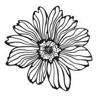 een hand getekend vector voorjaar bloem. bloemen voor ontwerp.