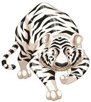 Witte tijger vector