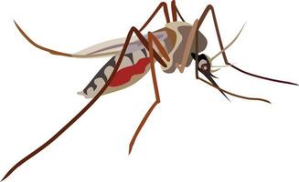 mug insect dierlijke vector