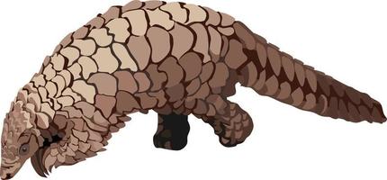 pangolin zoogdier dierlijke vector