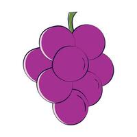 druiven icoon vector illustratie - kleurrijk druiven