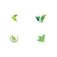 logo's van groene boom blad ecologie vector