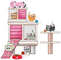 Veel kittens in pethome vector