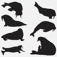 walrus dier silhouet reeks vector