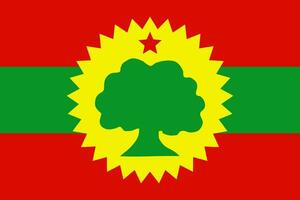 vlag van de oromo bevrijding voorkant vector