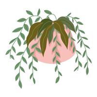 hangplant in pot vector