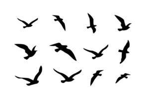 vector illustratie vliegend kudde van vogels. mooi vlucht vogel silhouetten verzameling.