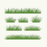 vector groen gras borders reeks Aan wit achtergrond vector