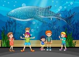 Kinderen en orka in aquarium vector