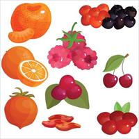 set van kleurrijke cartoon fruit pictogrammen vector