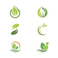 groene boom blad ecologie natuur element vector