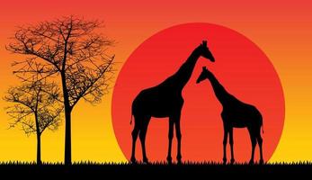 giraffe safari dieren in het wild afrika zonsondergang, dieren geïsoleerde vector