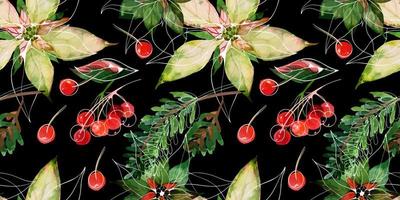 Kerstmis getraceerd aquarel naadloze bloemmotief op zwart. kerstster en dennentakken en rode winterbessen. decor voor kerst- en nieuwjaarstextiel en inpakpapier en wenskaarten vector