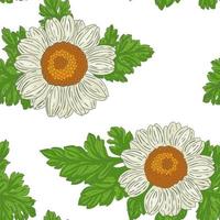 medische moederkruidbloemen, met de hand getekend naadloos patroon in retrostijl vector