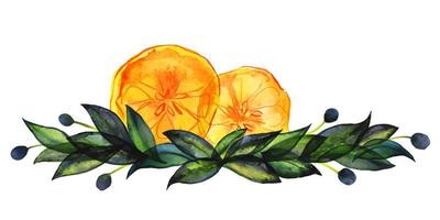 olijf en citrus bloemen botanische compositie met fruit en bladeren. groen oranje aquarel boeket. schattig decor voor huis- en cafétextiel, voor verpakkingsdecor en menu vector