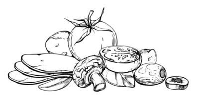 hand- getrokken vector inkt illustratie. tomaat champignon Mozzarella kaas basilicum kruid bladeren vers producten maaltijd. samenstelling geïsoleerd Aan wit. restaurant menu, cafe, voedsel winkel of pakket, folder, afdrukken