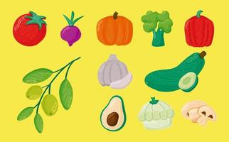 bundel van elf groenten pictogrammen voor gezonde voeding vector