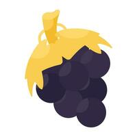 een isometrische ontwerp icoon van druiven vector