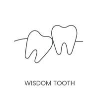 lineair icoon wijsheid tand. vector illustratie voor tandheelkundig kliniek