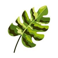 blad exotische plant vector