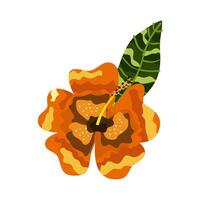 exotische oranje bloem vector