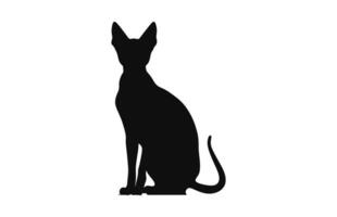 peterbald kat silhouet zwart vector geïsoleerd Aan een wit achtergrond