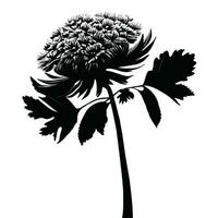 mooi zwart en wit vector botanisch illustratie met decoratief bladeren.