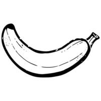 een zwart en wit tekening van een banaan vector