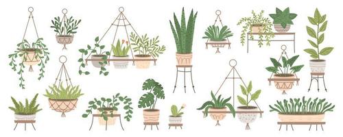 set planten in hangende potten en potten op stands. thuis jungle vector