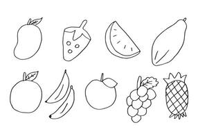 doodle fruit set. handtekening van fruit in verschillende stijlen. vector