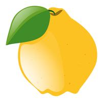 Verse citroen met groen blad vector