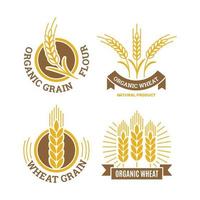 tarwe graan logo meel boerderij eten ontbijt winkel oogsten traditionele tarweproducten vector