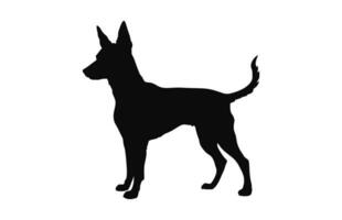 Portugees podengo hond silhouet zwart vector vrij