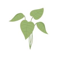 plant blad ecologisch vector