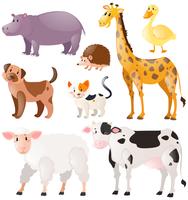 Set van wilde dieren vector