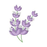 lila bloemen bladeren vector