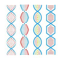 dna structuur icoon set. structuur molecuul en cel, chromosoom. genetisch engineering. vector voorraad illustratie