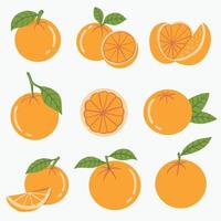doodle uit de vrije hand schets tekening van oranje fruit. vector