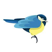 tekenfilm vlak illustratie van blauw tit vogel vector