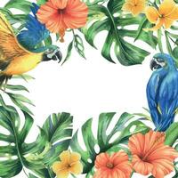 tropisch palm bladeren, monstera en bloemen van plumeria, hibiscus, helder sappig met blauw Geel ara papegaai. hand- getrokken waterverf botanisch illustratie. sjabloon kader geïsoleerd van de achtergrond vector