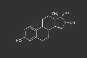 oestriol moleculair skelet- chemisch formule vector