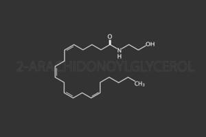endocannabinoïden moleculair skelet- chemisch formule vector