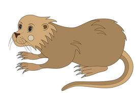schattig nutria Rat. tekenfilm vector illustratie.