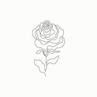 hand- tekening vector een lijn beroerte fabriek bladeren en bloem. abstract roos Aan een wit achtergrond.